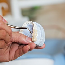 Model tooth with bridge