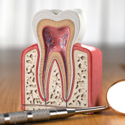 Dental mirror lying next to model of tooth on desk
