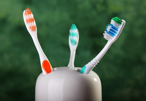 Three toothbrushes in a white toothbrush holder